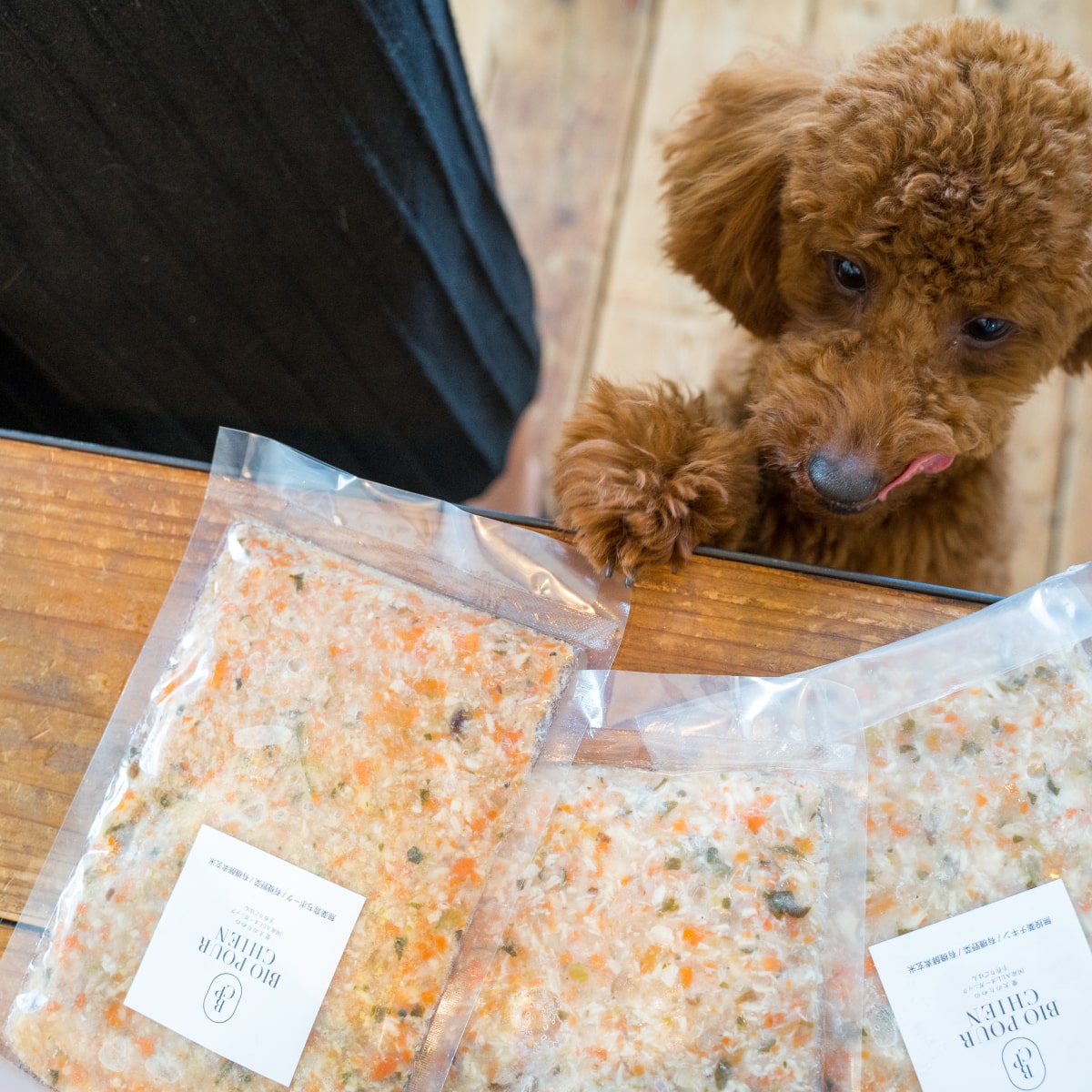 北の極み 犬の手作りごはん ローズマリーのグリルチキンと温野菜